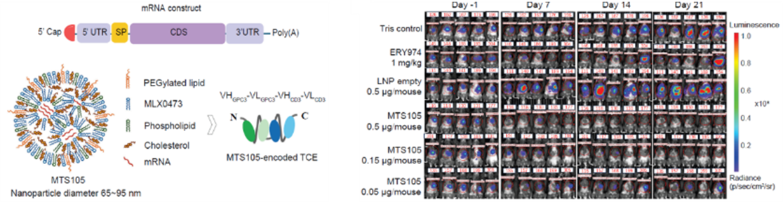 Breakthrough Progress: METiS TechBio Publishes Consecutive Research Findings in Nature Communications and the Journal for ImmunoTherapy of Cancer(图2) Breakthrough Progress: METiS TechBio Publishes Consecutive Research Findings in Nature Communications and the Journal for ImmunoTherapy of Cancer(图2)
